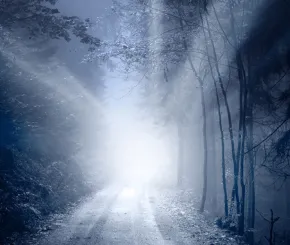 mist_1200x628.jpg