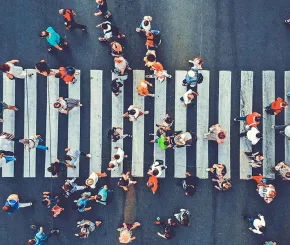 zebra-crossing-web.jpg