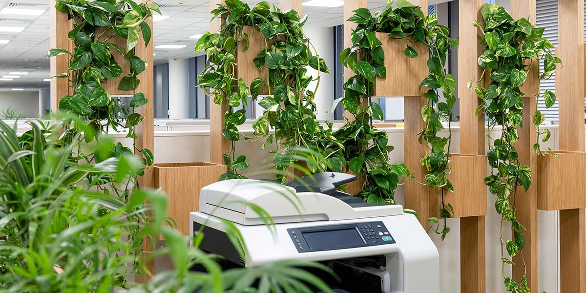 Problem Shared Office Could an office shared be a problem solved? | Rathbones
