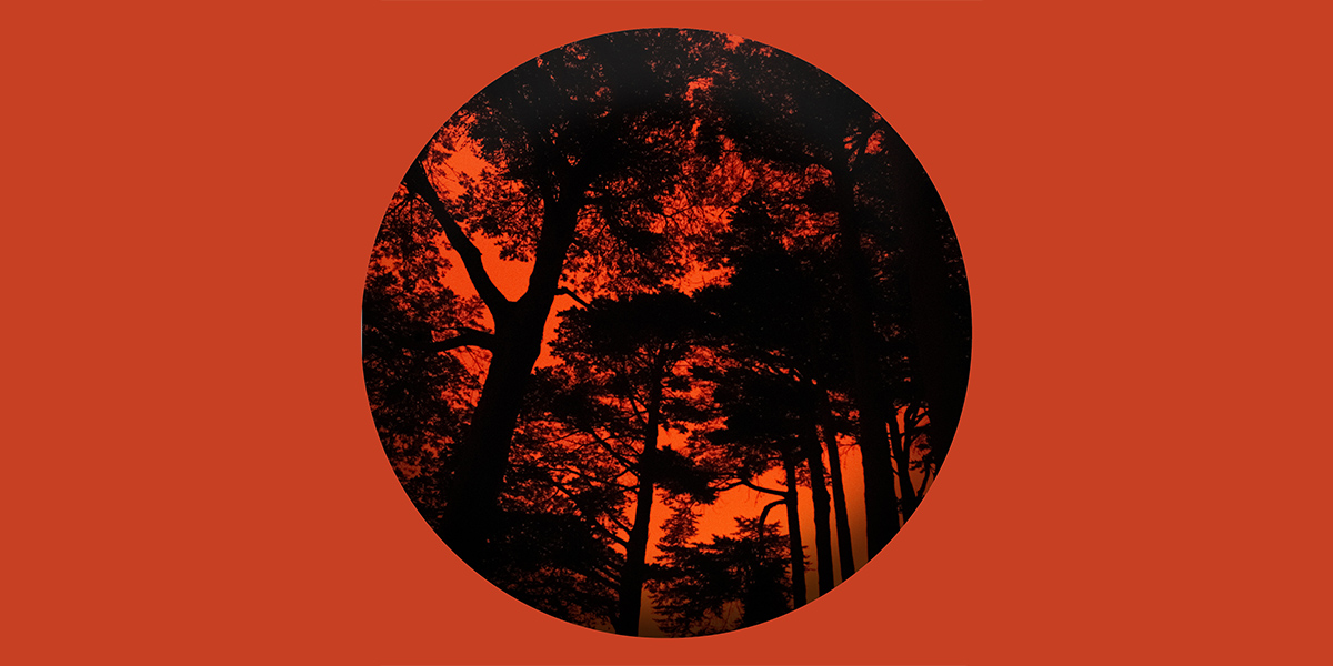 Fire thumbnail