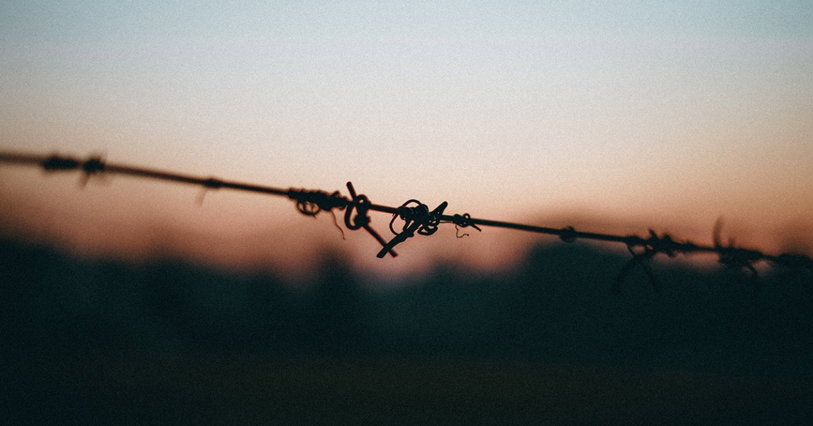 Review of the week: The tie that binds Review of the week: The tie that binds