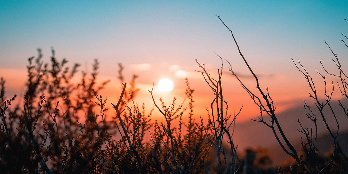 sunset_1200x600.jpg