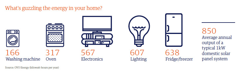 Infographic of items using electricity in a typical home
