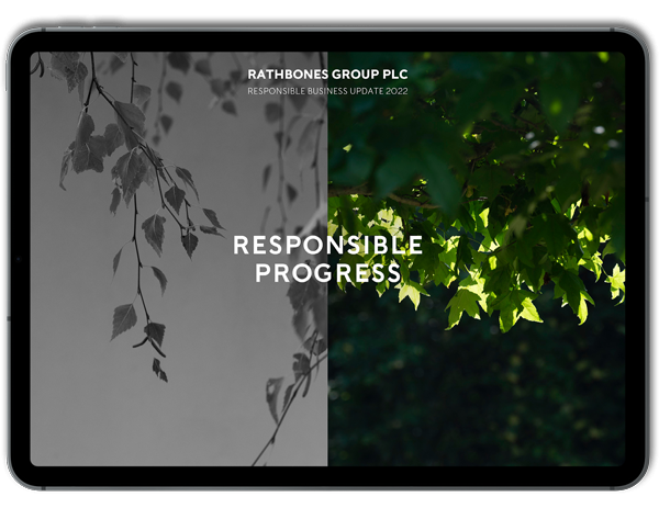 thumbnail of responsible business update