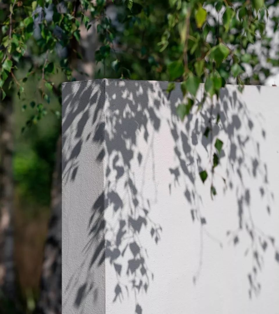 White stone with green leaves