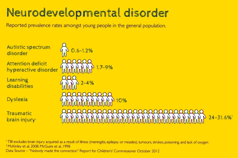 Neurodevelopmental disorder graph