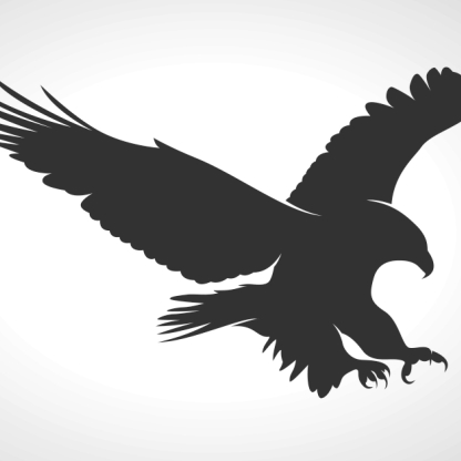American eagle silhouette