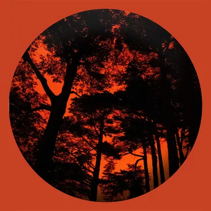 Fire thumbnail