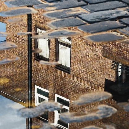 House reflected in puddle 