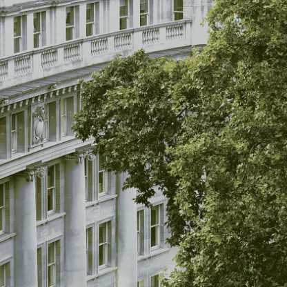 Grand white building behind trees