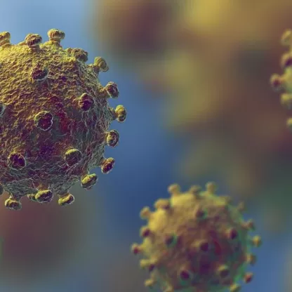 flu_1200x628_0_1.jpg