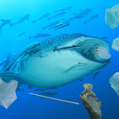 plastic-ocean-pollution-web.jpg